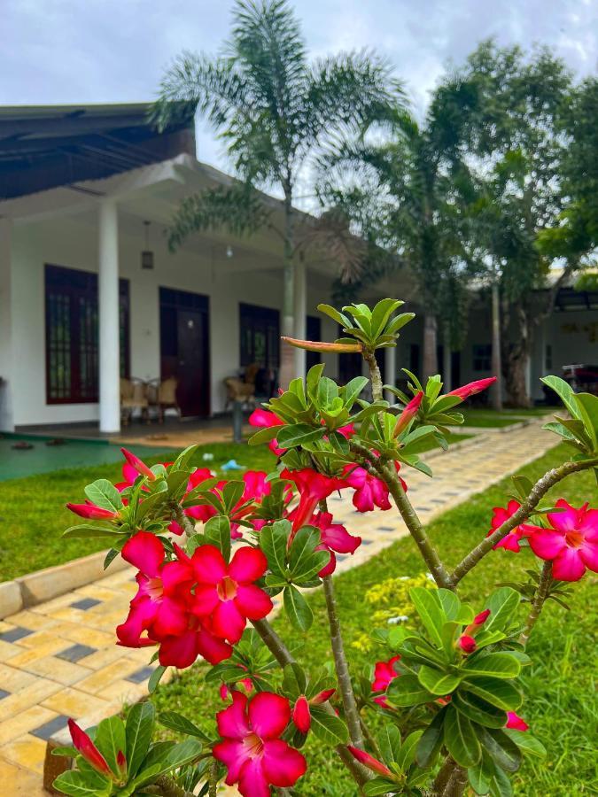 Sigiriya Green Garden Home エクステリア 写真
