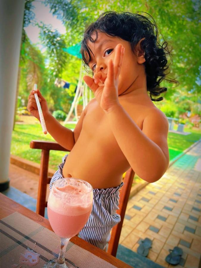 Sigiriya Green Garden Home エクステリア 写真